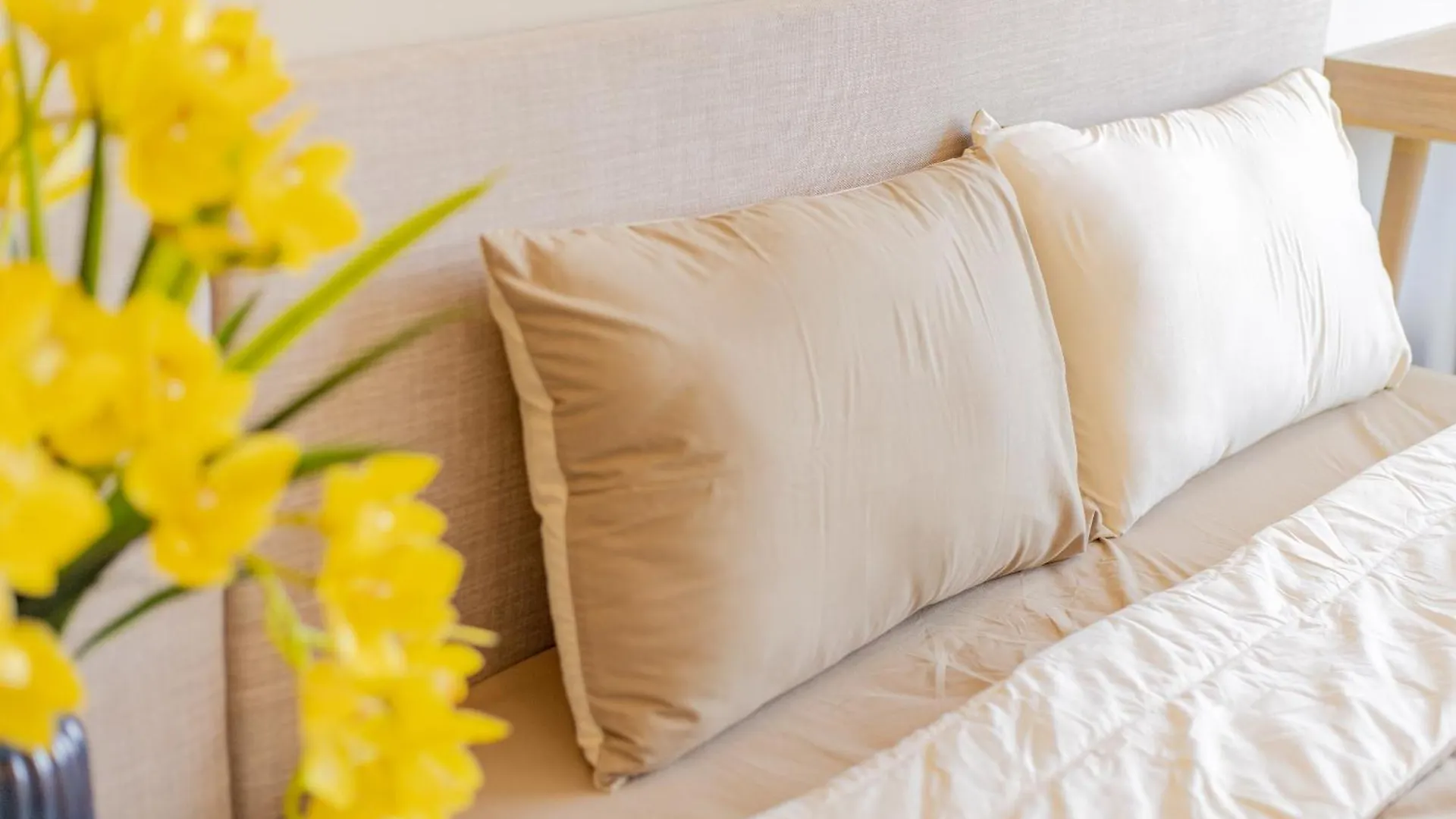 Xoai Homestay Vung Tau - The Song Apartment Vietnam