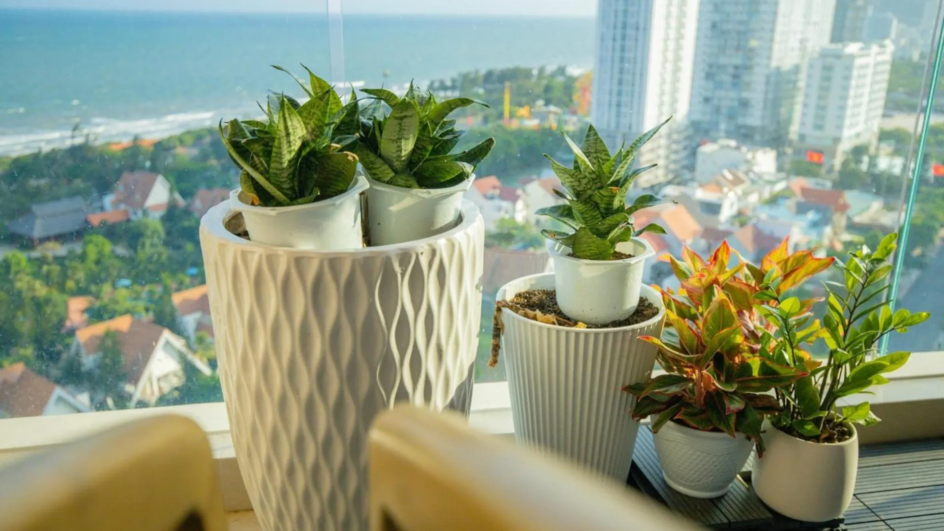 Xoai Homestay Vung Tau - The Song Apartment Vietnam